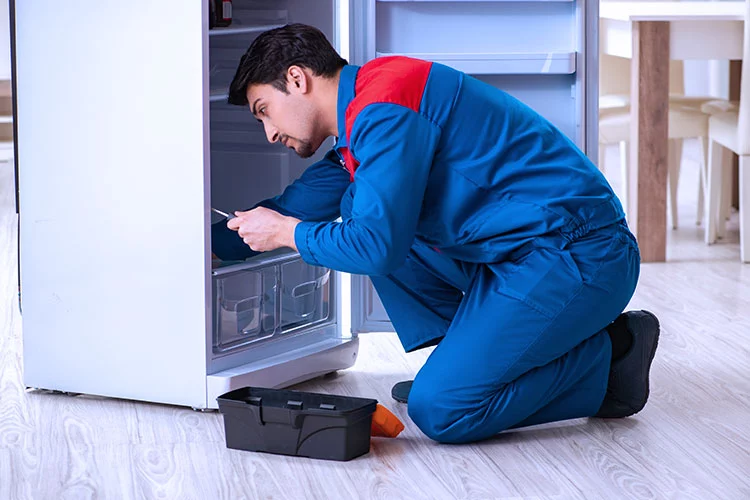 Refrigerator Repair Services in Chrompet